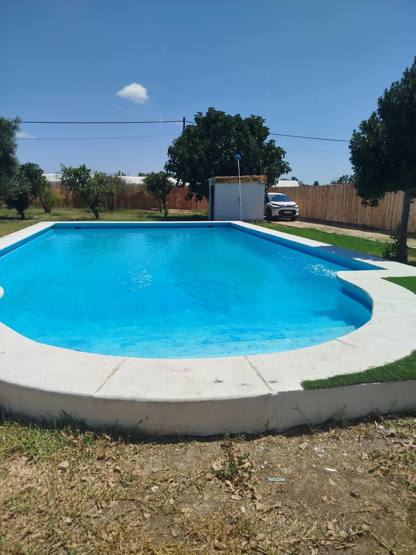 Jardín con césped y piscina privada al fondo